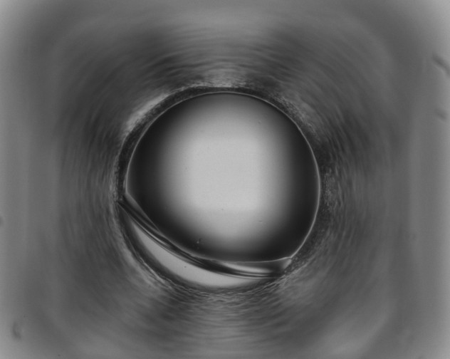 X0000097750536200803141558