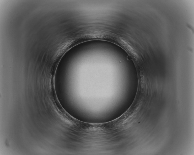 X0000097750537200803141558