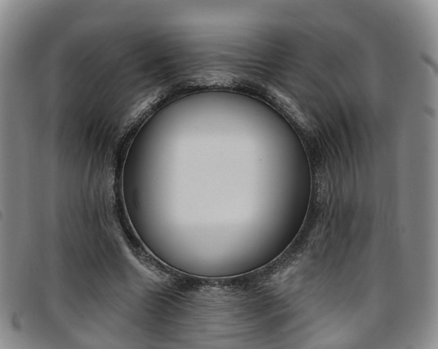 X0000097750538200803141558