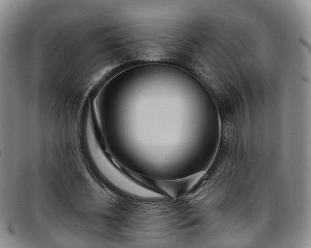 X0000097750540200803141558