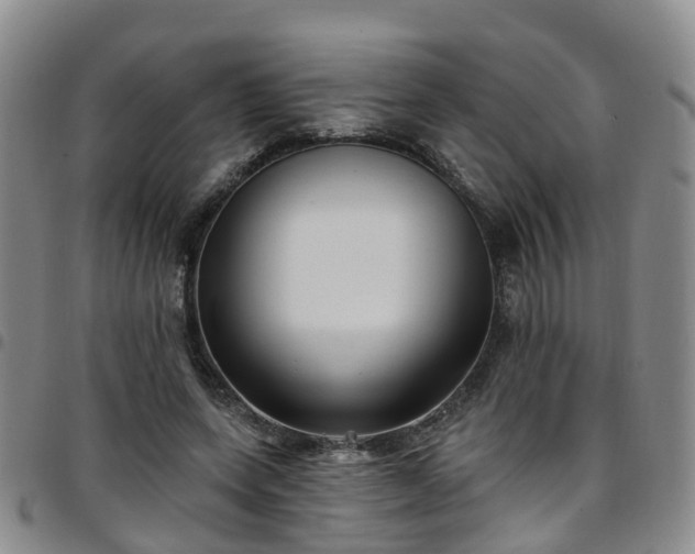 X0000097750543200803141558