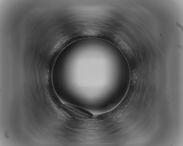 X0000097750544200803141559