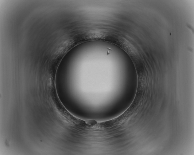 X0000097750546200803141559