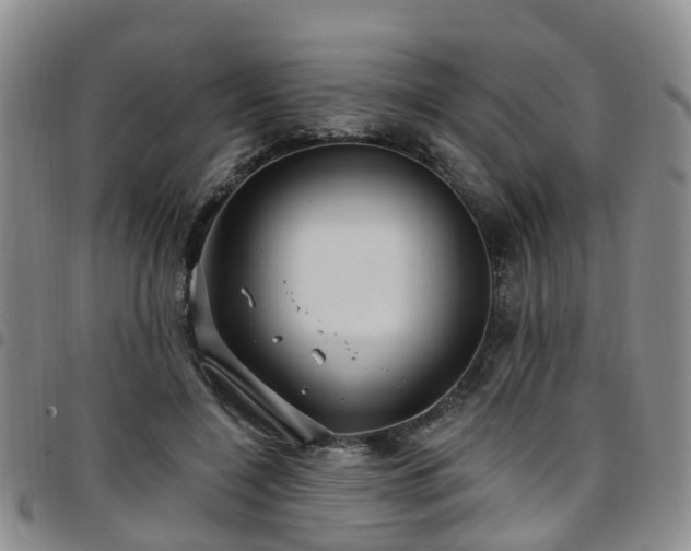 X0000097750548200803141559