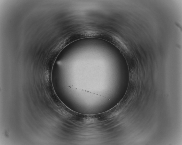 X0000097750549200803141559