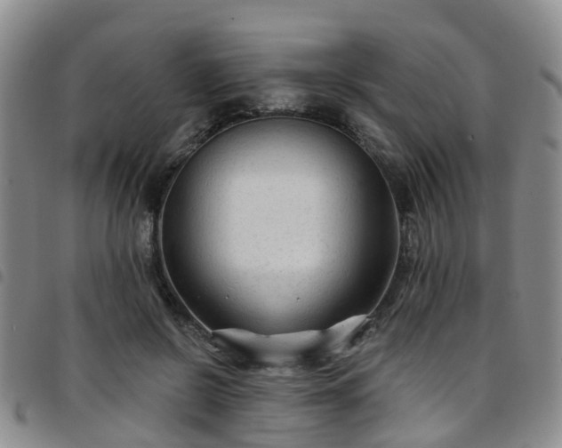 X0000097750550200803141559