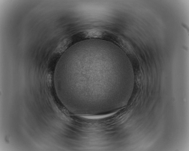 X0000097750551200803141559