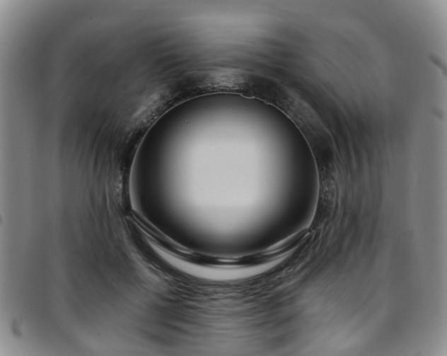 X0000097750552200803141559