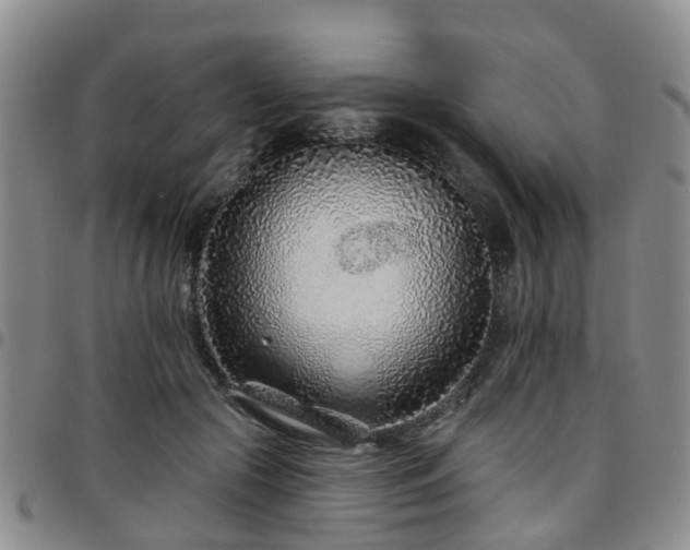 X0000097750553200803141559