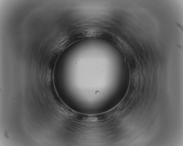 X0000097750554200803141559