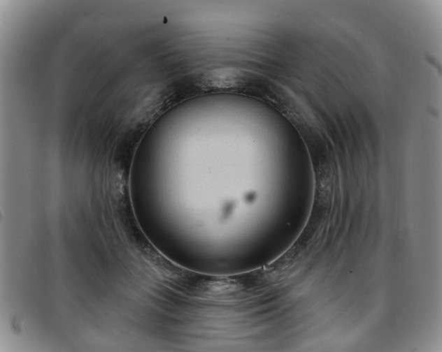 X0000097750555200803141559