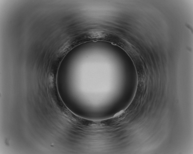 X0000097750556200803141559