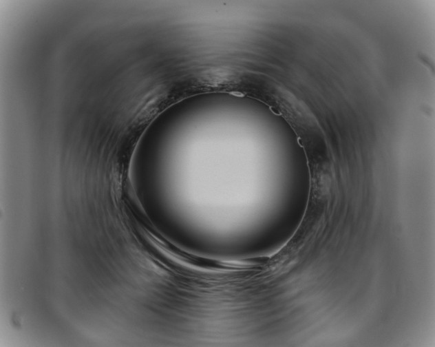 X0000097750558200803141559