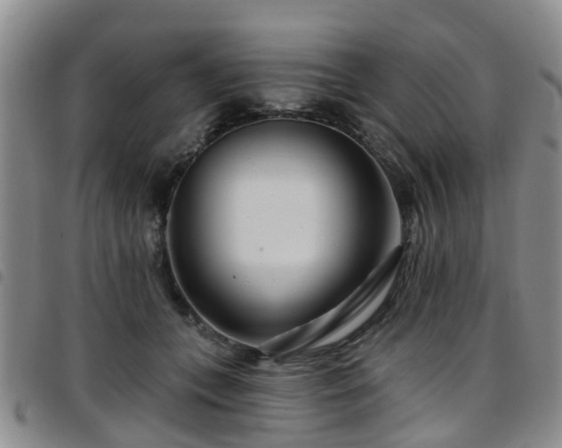 X0000097750559200803141559