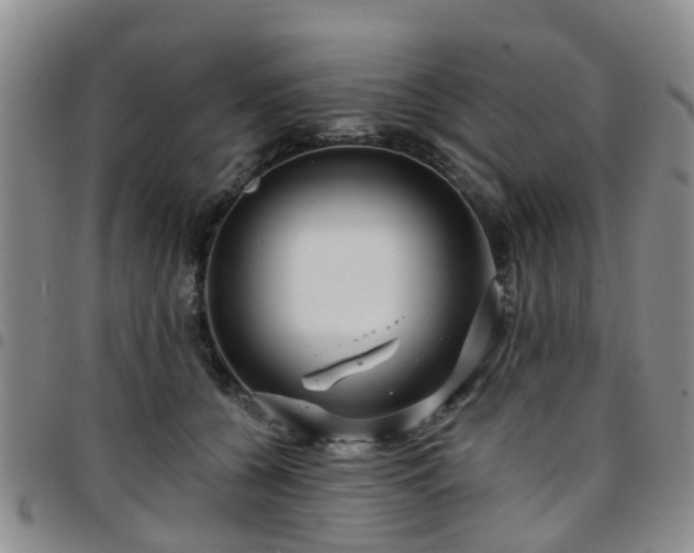 X0000097750560200803141559