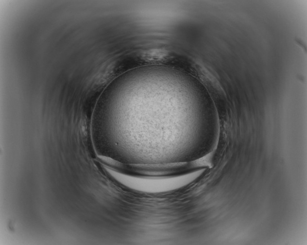 X0000097750561200803141559