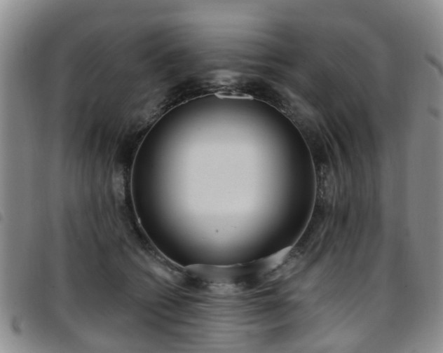 X0000097750562200803141559