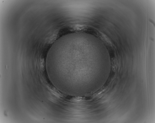 X0000097750563200803141559