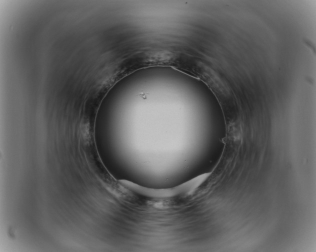 X0000097750564200803141559