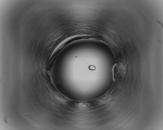 X0000097750566200803141559