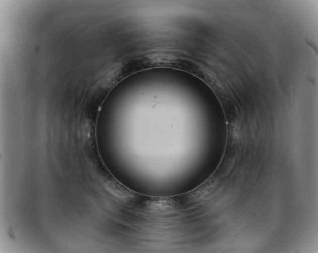 X0000097750567200803141559