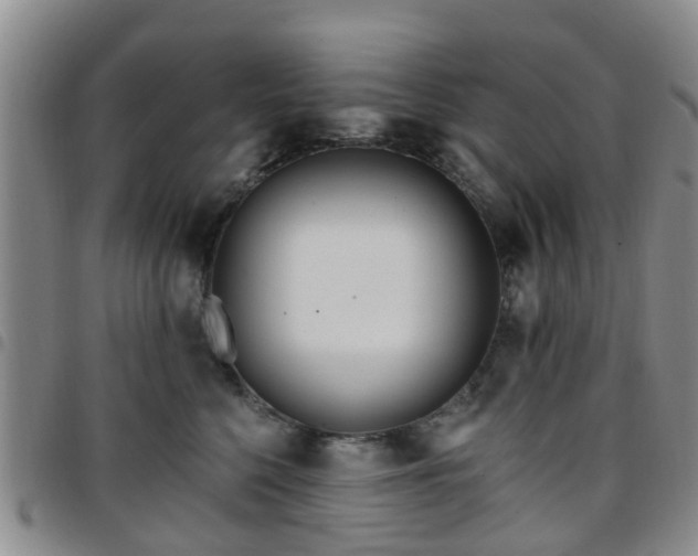 X0000097750568200803141559