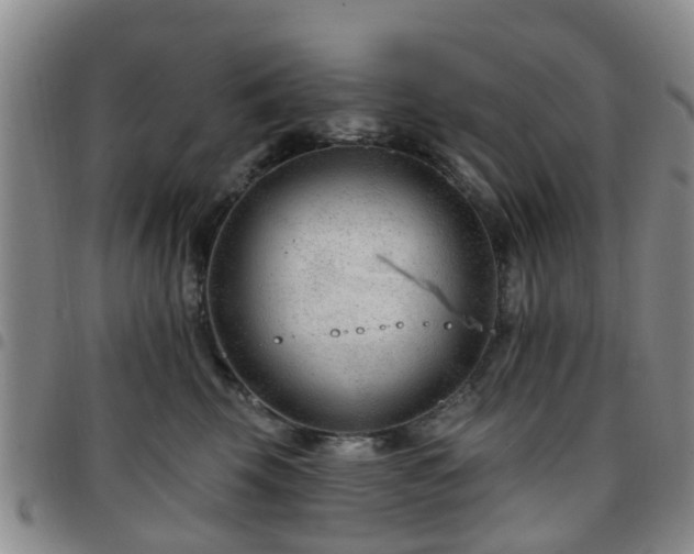 X0000097750569200803141559