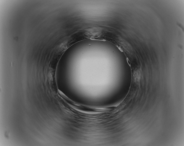 X0000097750570200803141559