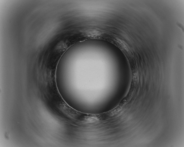 X0000097750572200803141559