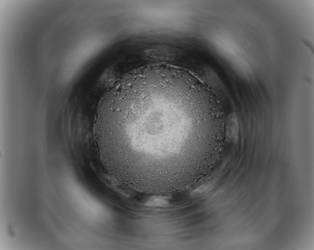 X0000097750573200803141559