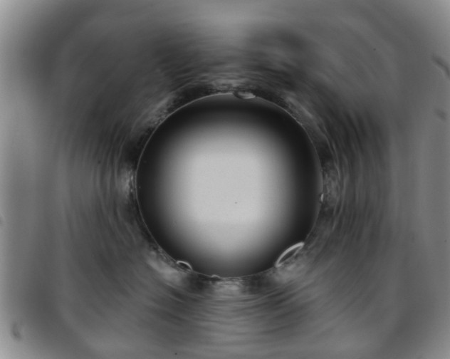 X0000097750574200803141559