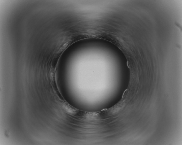 X0000097750576200803141559