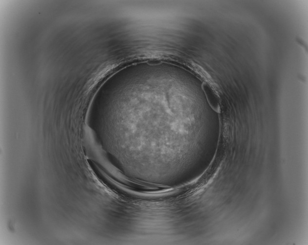 X0000097750577200803141558