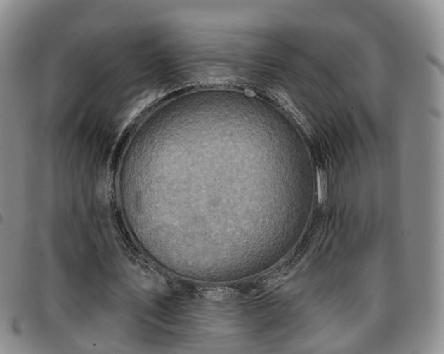 X0000097750579200803141558