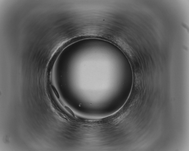 X0000097750580200803141558