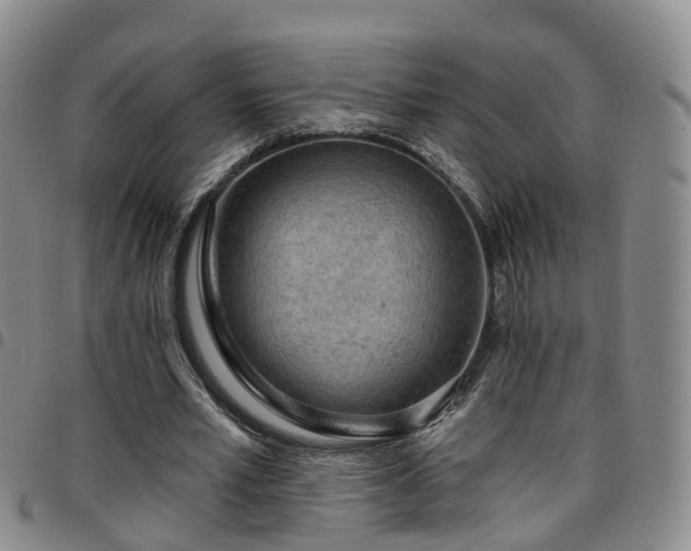 X0000097750581200803141558