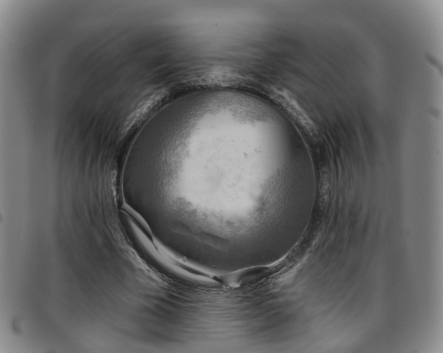 X0000097750585200803141558