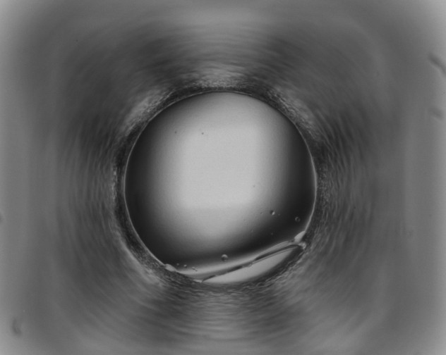 X0000097750586200803141558