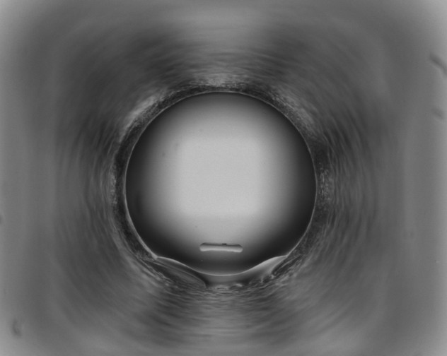 X0000097750587200803141558