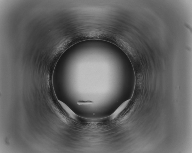 X0000097750589200803141558