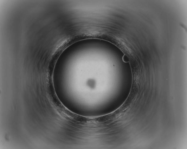 X0000097750591200803141558