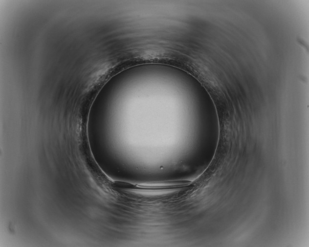 X0000097750592200803141558