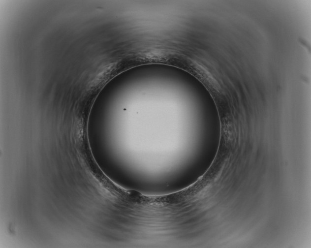 X0000097750593200803141558