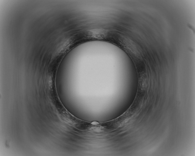 X0000097750595200803141558