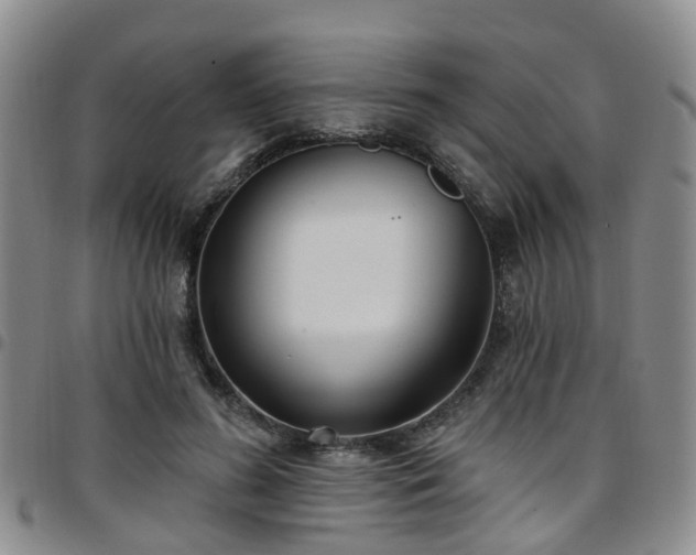 X0000097750596200803141558