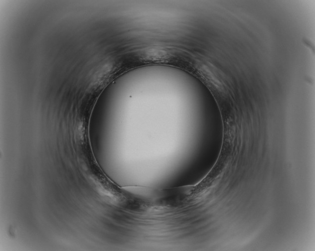 X0000097750597200803141558