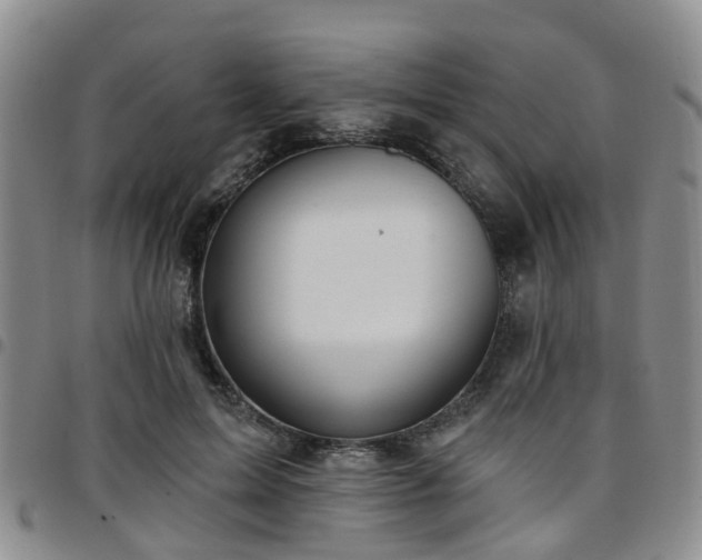 X0000097750599200803141558