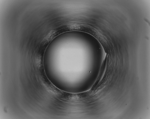 X0000097750600200803141558