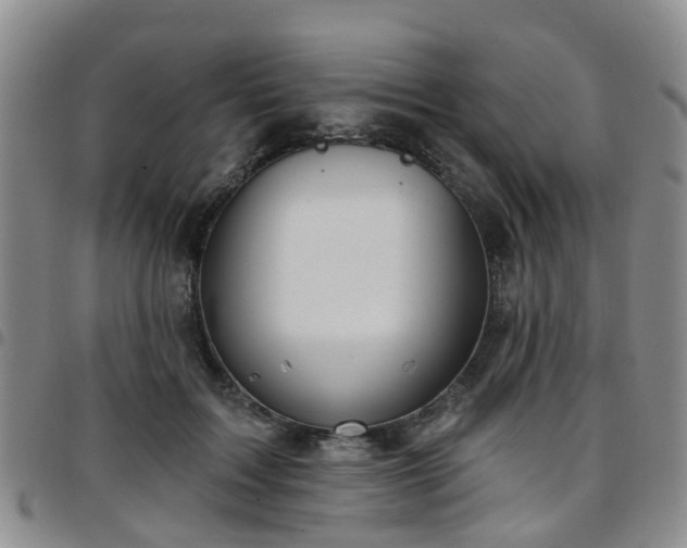 X0000097750603200803141558