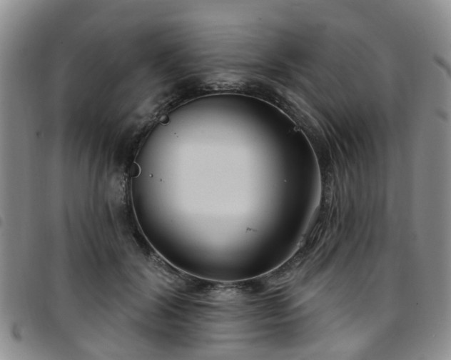 X0000097750604200803141558